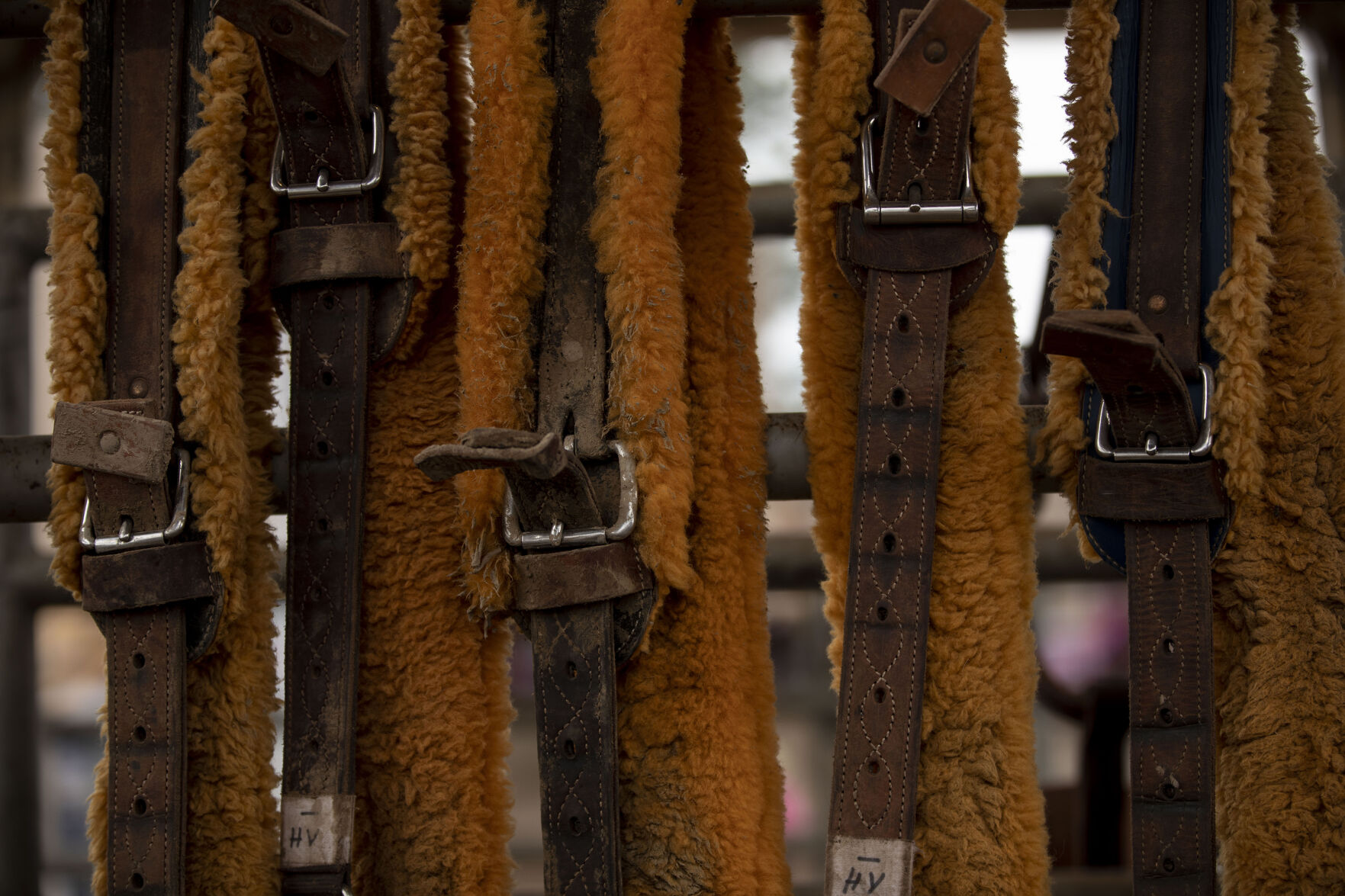071621-s-rodeo 45.jpg